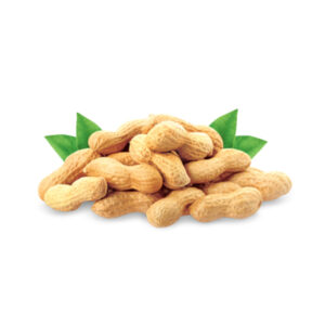 Groundnuts