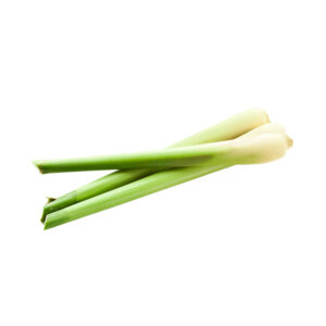 Lemon Grass