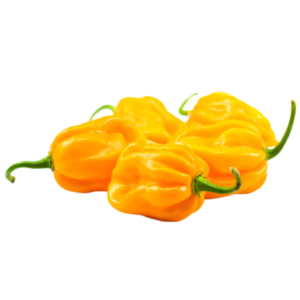 Yellow Habanero